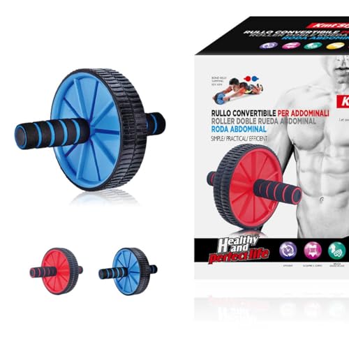 Roue Abdominale, Roue Rouleau D'entraînement Convertible Tapis D'exercice De Rollout Abs, Gym Multifonction (Double Roues Dentées)